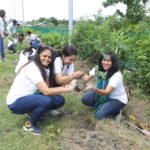 Millennium Mams' :: Sahyog :: Green Thumb Initiative