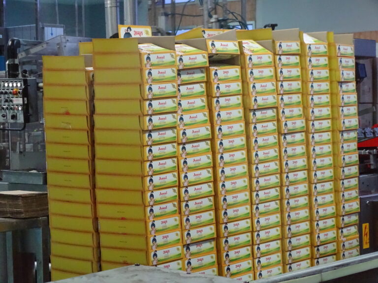 Millennium Mams' :: Amul, Factory Visit