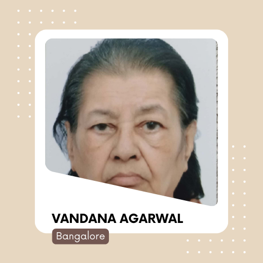 Millennium Mams - Vandana Agarwal